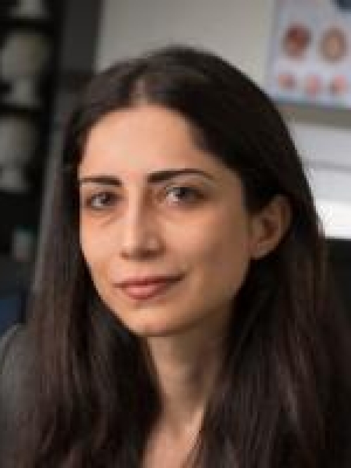 Najafizadeh headshot