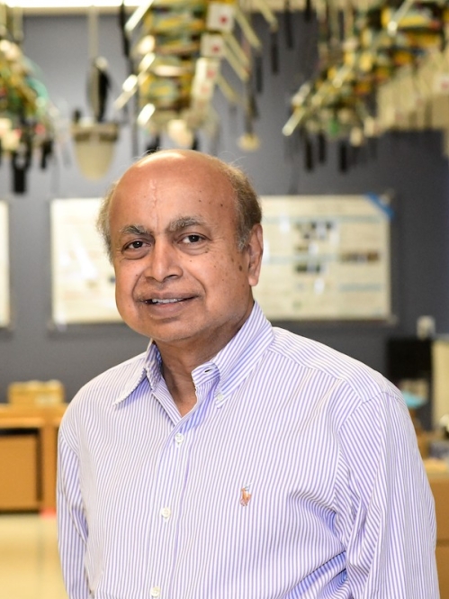 Head shot of balding Indian male wearing a pale button down shirt.