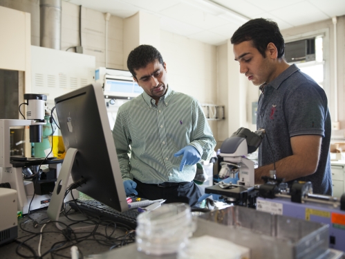 Male professor and male student working in electrical enginering lab.