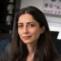 Najafizadeh headshot